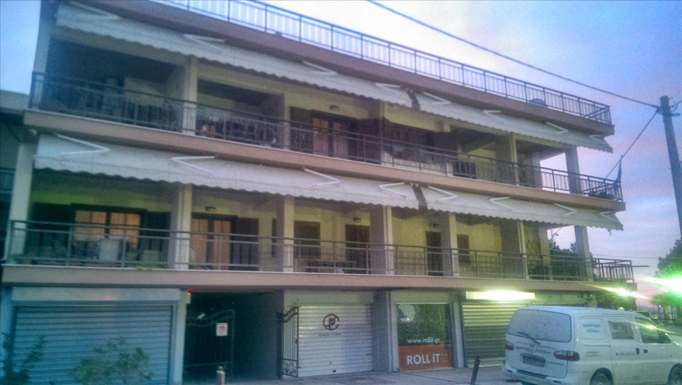 Propriété commerciale à Thessaloniki, Greece 365m² No. 6453