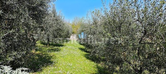 4-salle Maison à Montegiorgio, Italy No. 289556 9