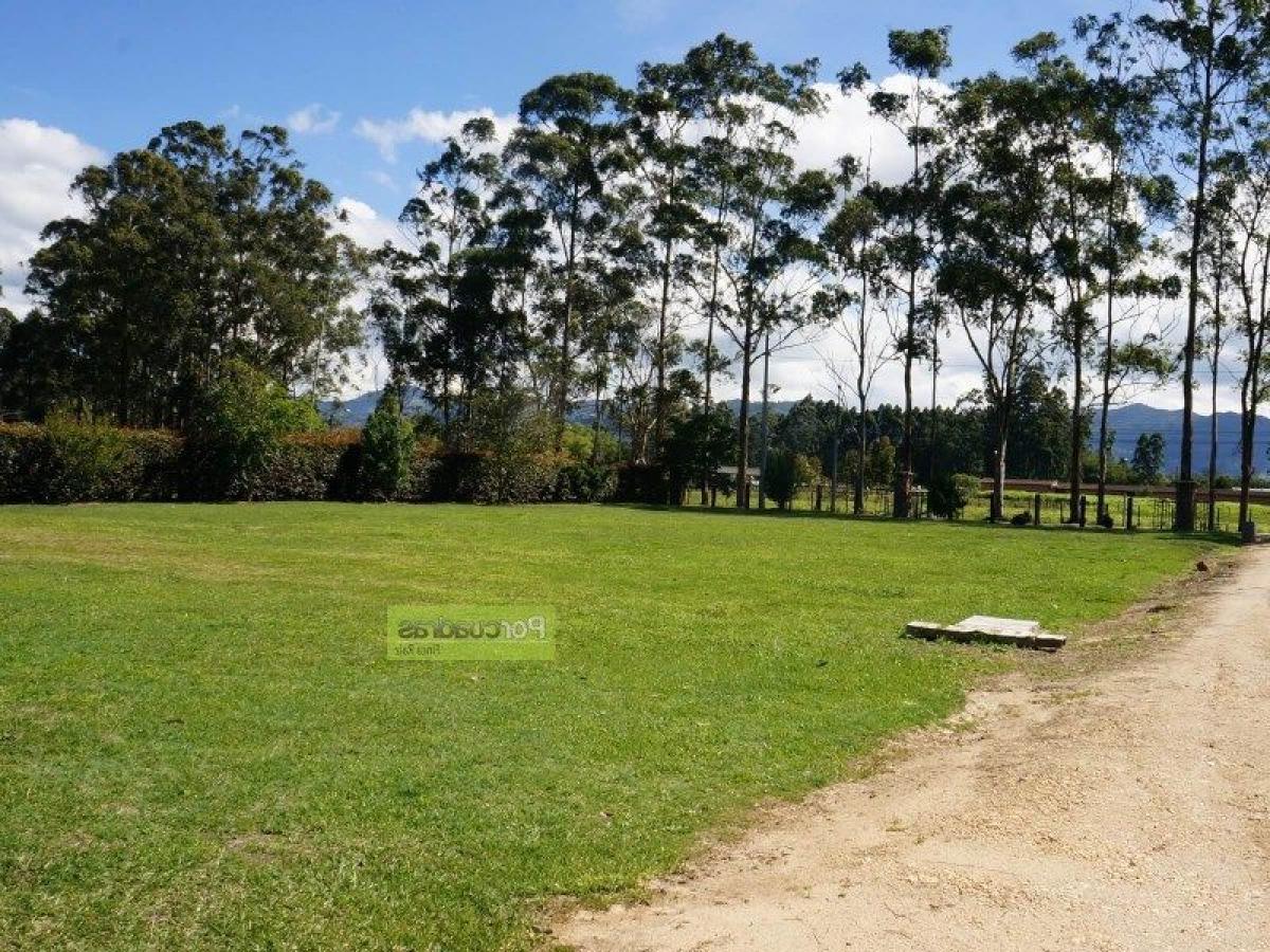  Land in Antioquia, Colombia No. 727