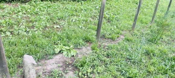 1400m² Land in Vila Nova de Cerveira, Portugal No. 219107 7