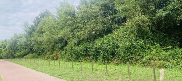 1400m² Land in Vila Nova de Cerveira, Portugal No. 219107 4