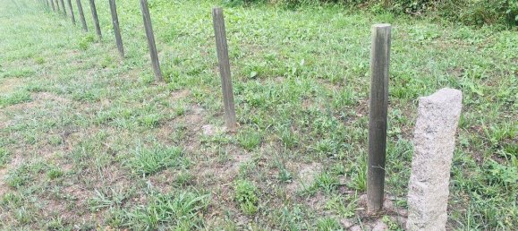 1400m² Land in Vila Nova de Cerveira, Portugal No. 219107 6