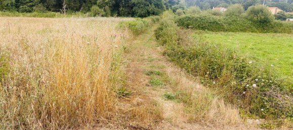 1400m² Land in Vila Nova de Cerveira, Portugal No. 219107 9