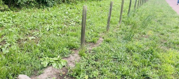 1400m² Land in Vila Nova de Cerveira, Portugal No. 219107 8