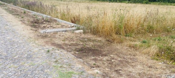 1400m² Land in Vila Nova de Cerveira, Portugal No. 219107 10