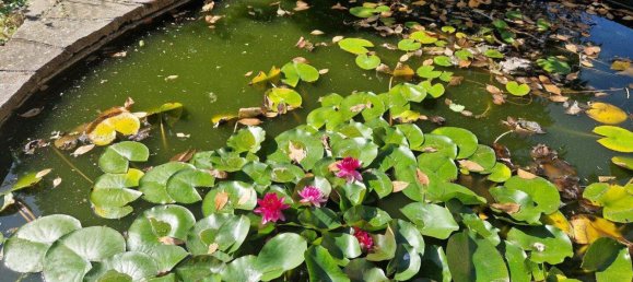 5 rooms Villa in Eisenstadt, Austria No. 247302 26