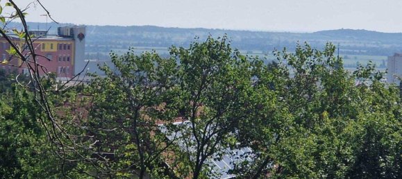 5 rooms Villa in Eisenstadt, Austria No. 247302 29