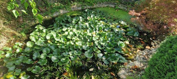 5 rooms Villa in Eisenstadt, Austria No. 247302 27