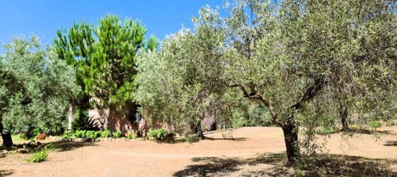 5 rooms Villa in Sardinia, Italy No. 291059 17