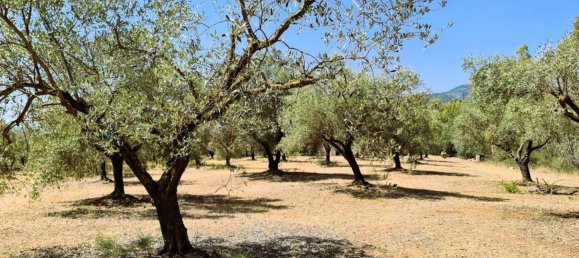 5 rooms Villa in Sardinia, Italy No. 291059 18