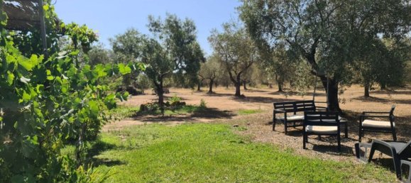 5 rooms Villa in Sardinia, Italy No. 291059 8