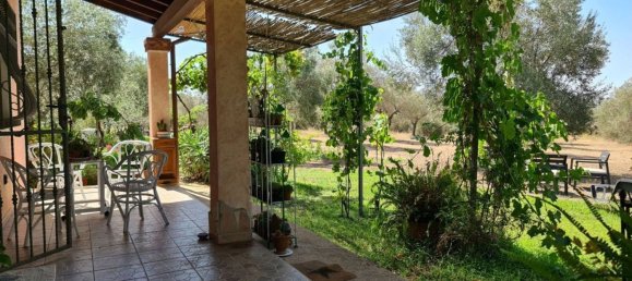 5 rooms Villa in Sardinia, Italy No. 291059 15