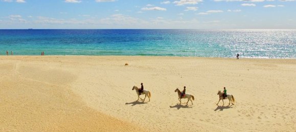 5 rooms Villa in Sardinia, Italy No. 291059 20