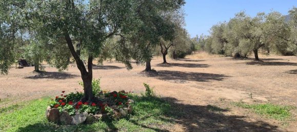 5 rooms Villa in Sardinia, Italy No. 291059 16