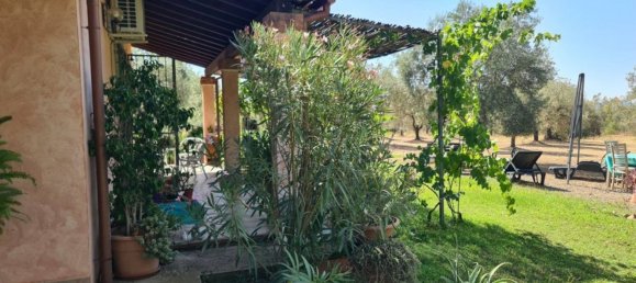 5 rooms Villa in Sardinia, Italy No. 291059 7