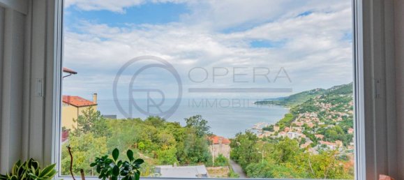 Пентхаус с 3 спальнями в Триест, Италия № 376540 2