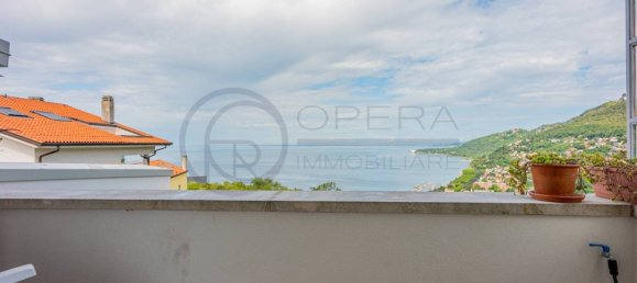 Пентхаус с 3 спальнями в Триест, Италия № 376540 25