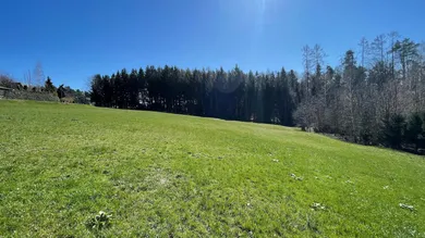 Grundstück in Kumberg, Austria 2624m², Nr. 194329