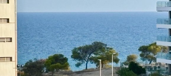 4 غرف نوم بانتهاوس في Alicante, Spain رقم 181575 17