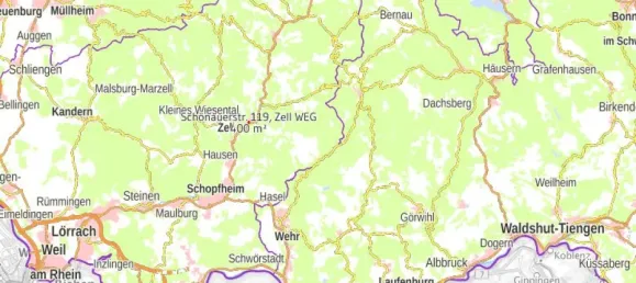 Квартира с 2 спальнями в Лёррах, Германия № 25942 5