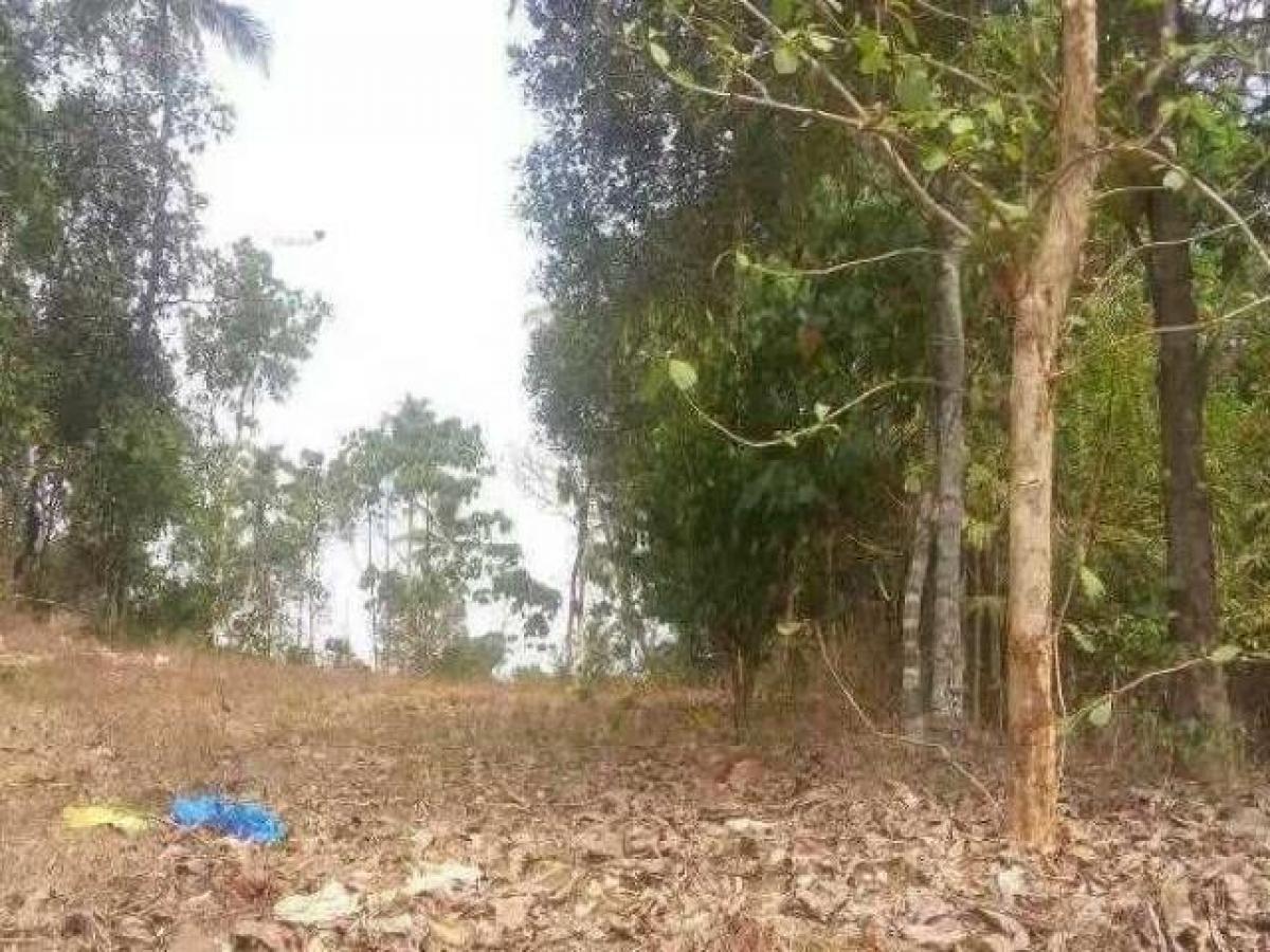 Grundstück in Bangalore, India, Nr. 34395