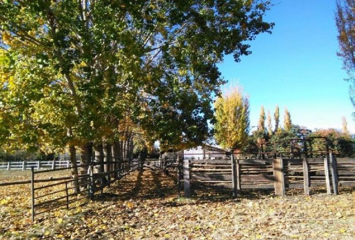 25m² Land in Biobio, Chile No. 831