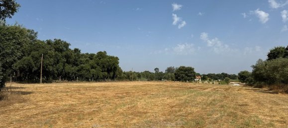 27728m² Land in Pinhal Novo, Portugal No. 272124 3