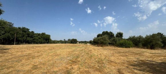 27728m² Land in Pinhal Novo, Portugal No. 272124 2