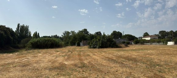 27728m² Land in Pinhal Novo, Portugal No. 272124 5