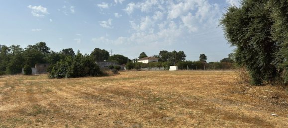27728m² Land in Pinhal Novo, Portugal No. 272124 4