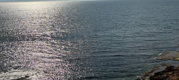 3 Schlafzimmer Wohnung in Torrevieja, Spain, Nr. 11173 16