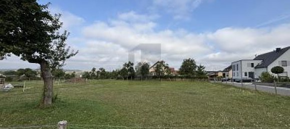 1064m² Land in Rhineland-Palatinate, Germany No. 339333 2