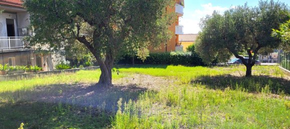  قطعة أرض في Pescara, Italy 775متر مربع رقم 26456 5