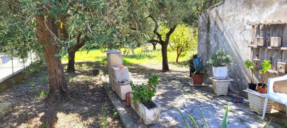  قطعة أرض في Pescara, Italy 775متر مربع رقم 26456 4