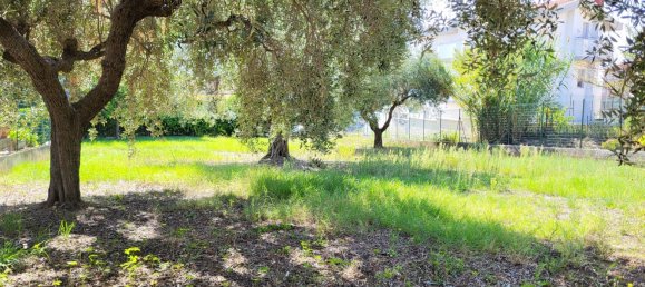  قطعة أرض في Pescara, Italy 775متر مربع رقم 26456 3