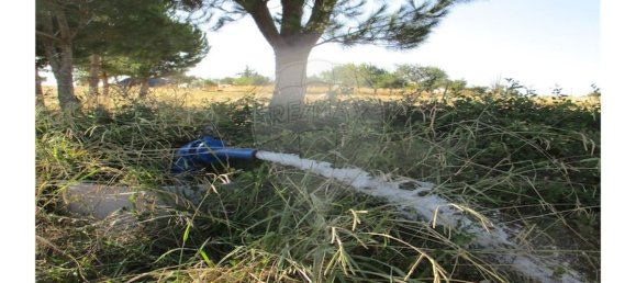 9 bedrooms House in Idanha a Nova, Portugal No. 188680 14