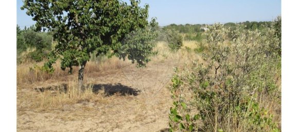 9 bedrooms House in Idanha a Nova, Portugal No. 188680 17