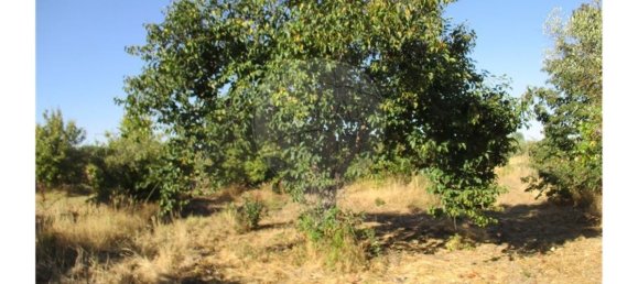 9 bedrooms House in Idanha a Nova, Portugal No. 188680 24