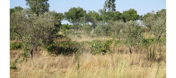 9 bedrooms House in Idanha a Nova, Portugal No. 188680 19