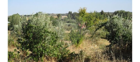 9 bedrooms House in Idanha a Nova, Portugal No. 188680 41