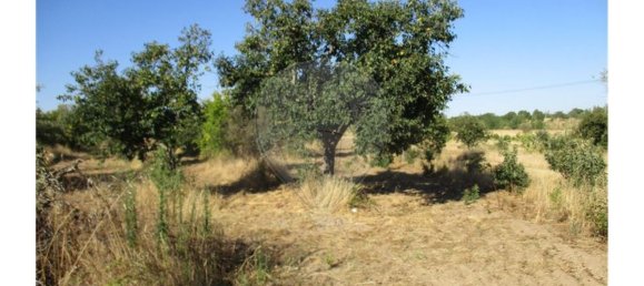 9 bedrooms House in Idanha a Nova, Portugal No. 188680 25