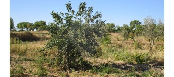 9 bedrooms House in Idanha a Nova, Portugal No. 188680 20