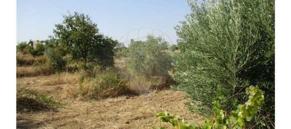 9 bedrooms House in Idanha a Nova, Portugal No. 188680 48