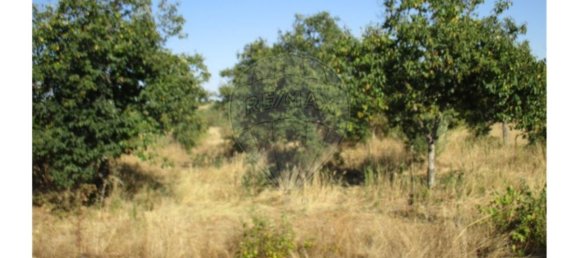 9 bedrooms House in Idanha a Nova, Portugal No. 188680 31