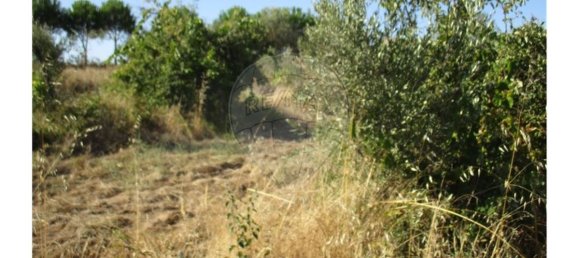 9 bedrooms House in Idanha a Nova, Portugal No. 188680 30