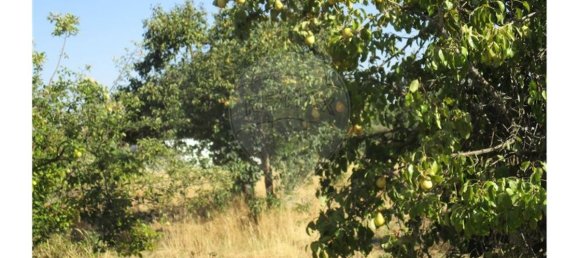 9 bedrooms House in Idanha a Nova, Portugal No. 188680 28