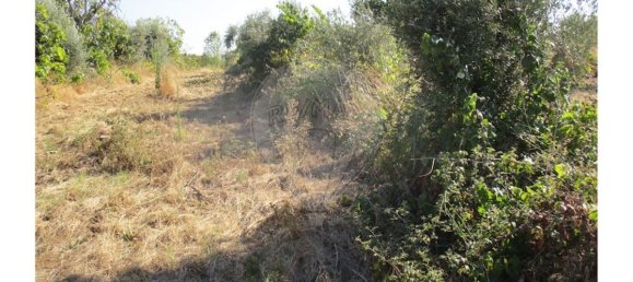 9 bedrooms House in Idanha a Nova, Portugal No. 188680 21