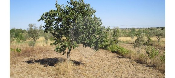 9 bedrooms House in Idanha a Nova, Portugal No. 188680 18