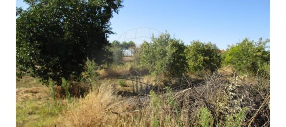 9 bedrooms House in Idanha a Nova, Portugal No. 188680 26