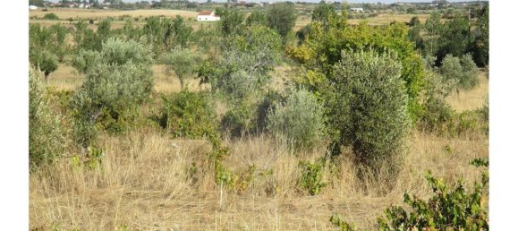 9 bedrooms House in Idanha a Nova, Portugal No. 188680 33